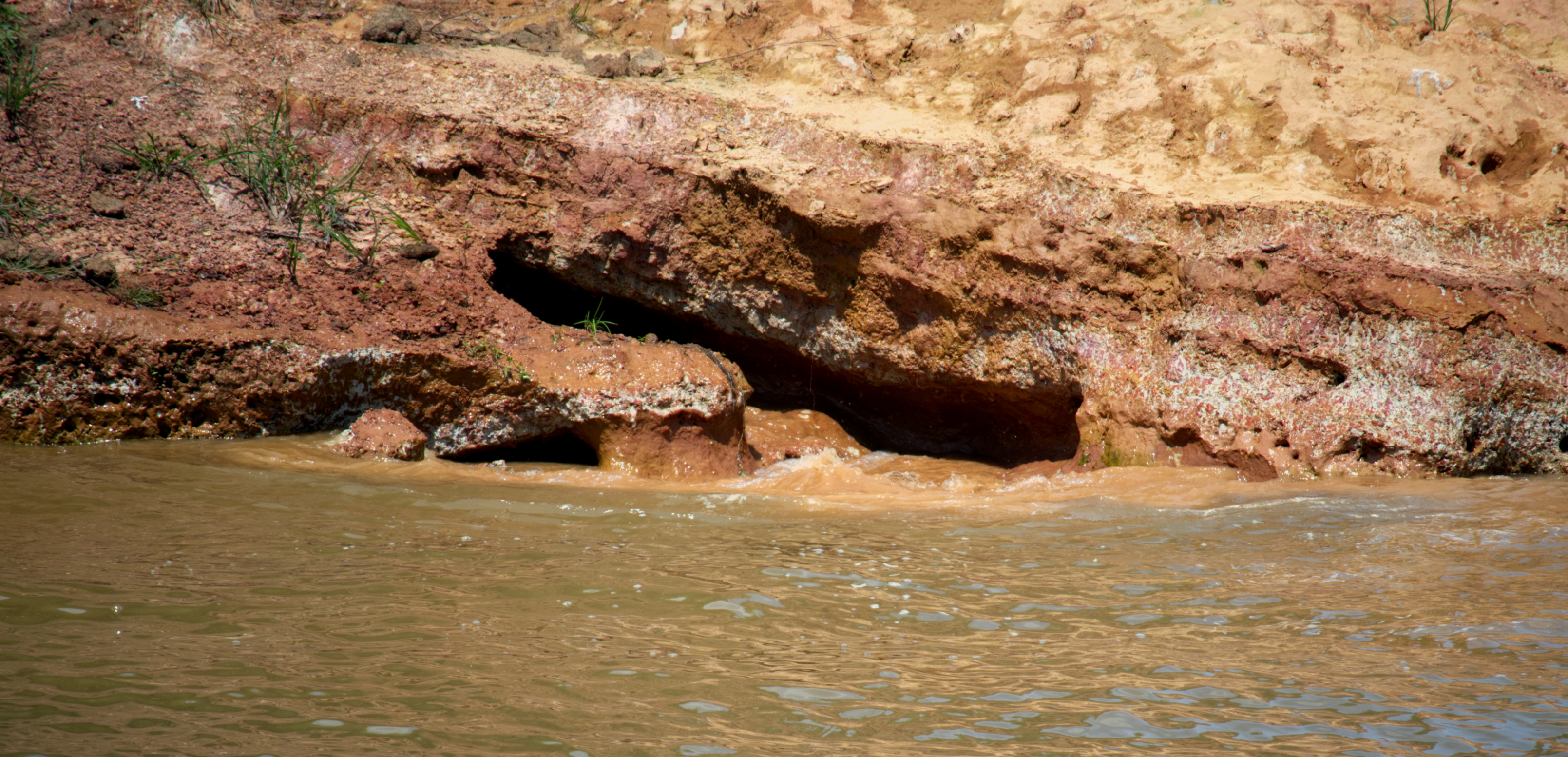Rock along the riverbank shows orange-brown staining from iron-rich sediments. These materials originate in the Andes Mountains and are transported downstream as fine particles. Over time, deposition and oxidation alter the surface appearance of exposed stone. Nearly 90% of all sedmient in the Amazon originates from the Andes, although such as in this image, some is picked up along the river.