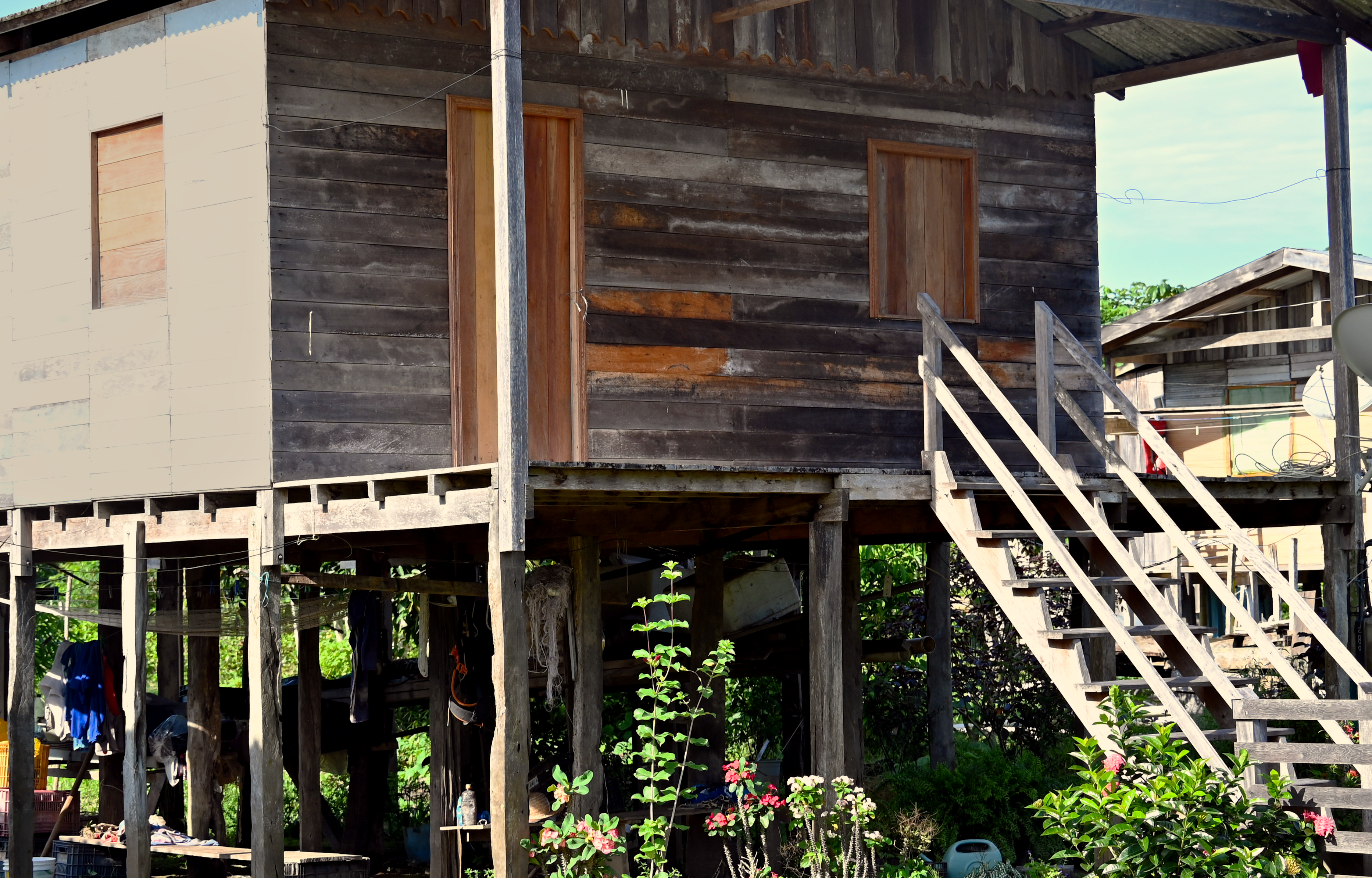 At mid-water season, the house sits well back from the river’s edge. By May, at peak flood, that gap closes considerably as water pushes across the floodplain toward the foundation. Planting schedules, fishing techniques, and daily routines along the Solimões are tuned to which way the water is moving and how fast.