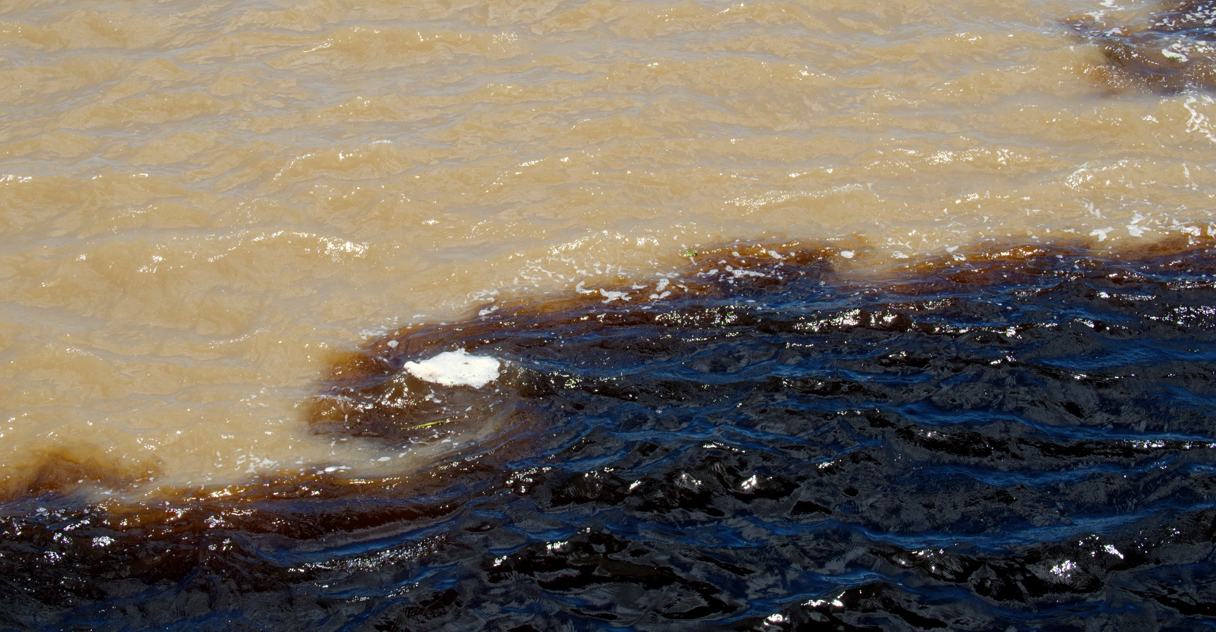 At the Meeting of Waters, sediment-rich flow from the Solimões River meets the darker, low-sediment water of the Rio Negro. Differences in speed, temperature, and density limit immediate mixing, producing a visible boundary where suspended particles remain unevenly distributed. At close range, this separation appears as interlocking currents rather than a uniform blend.